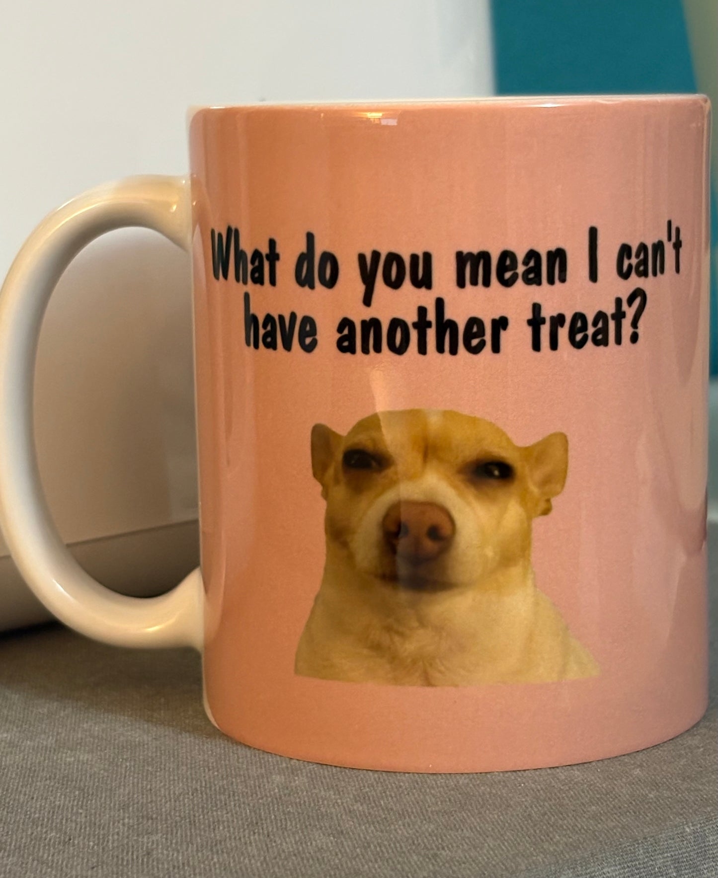 What do you mean I can't have another treat? (personalized with picture of your animal(s)